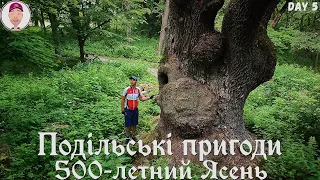 500-летний ясень! Подільські пригоди. День 5-ый.