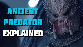 Ancient Predator - Yautja Explained (AVP Lore)