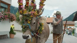 Almabtrieb Lermoos - jeden September