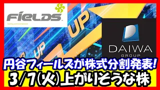 【注目株】3月7日(火)に上がりそうな株！円谷フィールズHDが株式分割を発表、ダイワ通信が迷惑行為検知AIカメラシステムの企画開発に着手など！