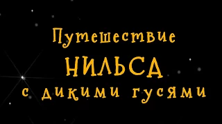 Путешествие Нильса - Театр "Радость" (Хьюстон)