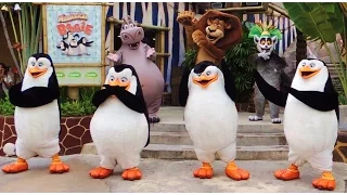 [HD] 2015 MADAGASCAR "I LIKE TO MOVE IT" BOOGIE DANCE @ Universal Studios Singapore, USS.