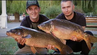 FISHERMAN OF THE YEAR Ternopil. Carp fishing at the Ternopil Lake. Streat Fishing