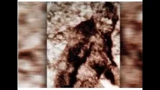Evidence of Bigfoot in NC?