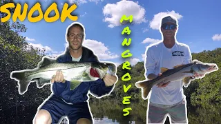 Mangrove SNOOK and REDFISH With Kiz!!! (Fort Myers)