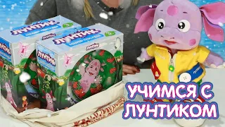 Новогодний стол 🎄 Учимся с Лунтиком 🍽 Новая серия