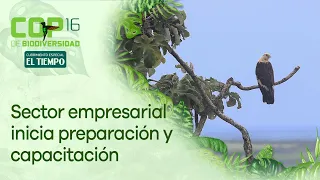 El sector empresarial ya comenzó a prepararse y capacitarse para la COP16 | El Tiempo