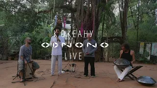 Odnono — К океану (Live in Goa)