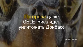 Новость дня: "Россиян обяжут платить налог за бани сараи..." и другие главные новости за 2018-02-27