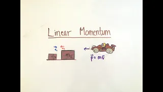 Momentum, Impulse, and Collisions (AP Physics 1)
