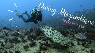 Scuba Diving Mozambique, Ponta do Ouro