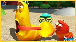 LARVA FULL EPISODE NEW MOVIES: SWEETS | CARTOON - COMIC | COMEDY VIDEO 2022| THE BEST OF CARTOON BOX