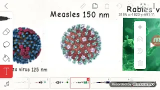 ULTIMATE Size Comparison 2022 (Part 4) 1 nm - 1 um 3D 4K 60FPS