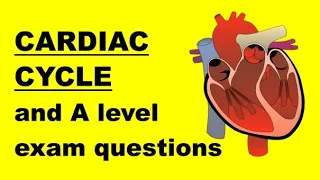 CARDIAC CYCLE and ELECTROCARDIOGRAM (ECG) TRACES
