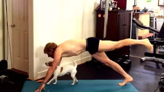 Cute Dog Joins Owner in Daily Yoga Routine   Video Dailymotion