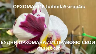 БУДНИ ОРХОМАНА / ИСПРАВОЯЮ СВОИ ОШИБКИ