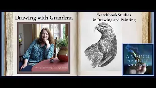 Sketchbook study of a Hawk in graphite: Drawing with Grandma Lesson #34,