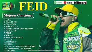 Feid Mix Exitos 2024 || LAS MEJORES CANCIONES DE FEID