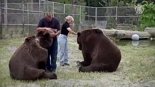 дружба человека и медведя