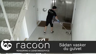 Racoon - Sådan vasker du gulvet