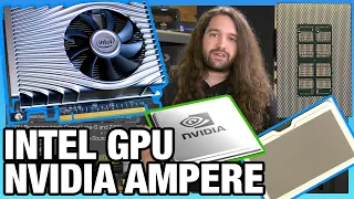 HW News - Intel Xe HP GPU, NVIDIA Ampere GPUs, AMD CPU Sales Up, Semi-Custom Down