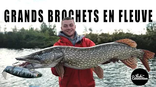 Grands brochets en fleuve avec Sebibou Fishing