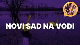 Novi Sad na vodi