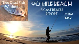 90 Mile Beach. 5 Cast Beach Report. Fri 3rd May.