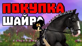 ПОКУПКА 2 НОВЫХ ШАЙРОВ | МНЕНИЕ О НОВЫХ ЕДИНОРОГАХ | ПИНТАБИАНА ПОФИКСИЛИ? | Star Stable