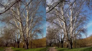 Git2 vs Git2P (170 degree) action camera side by side comparison