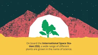 Why do we Grow Plants in Space?