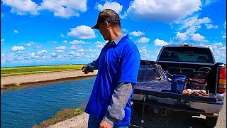 There’s A Big Fish Swimming Here, Delta Mendota Canal