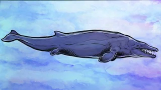 Whalevolution: Time Lapse
