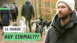 Mit 14 Hunden Gassi gehen  – Als Job?!