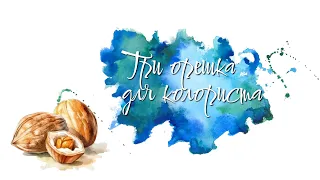 Челлендж "Три орешка для колориста" с девочками #хобби #челлендж #обзор #раскраскиантистресс