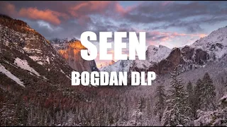 🔥 Bogdan DLP - Seen | Lyrics 🔥