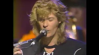 Daryl Hall & John Oates    Live at the Apollo Adult Education～I Can't Go For That(no can do)