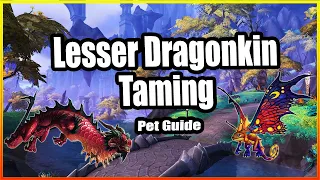 Lesser Dragonkin Taming│Hunter Pet Guide│Dragonflight