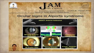 Clinical Pearls Set XXIV (231-240)