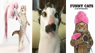 Funny Dog & Cat Toy Reaction Compilation !! Cats And Dogs React To Their Owners “Playing Dead !!