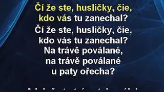 Husličky - Jiří Zonyga Karaoke tip