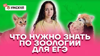 Что нужно знать по зоологии для ЕГЭ | Биология ЕГЭ 2022 | Умскул