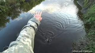 Этот ручей и речкой то не назовешь. Но сколько же там рыбы.