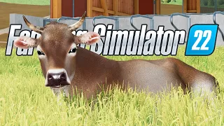 TRATANDO DAS VACAS | Os Guri | Farming Simulator 22 - EP 56