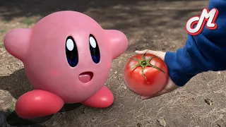 【Real-life Kirby】 I gave Kirby a tomato...