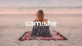 Max Oazo ft. Camishe - Wonderful Life (The Distance & Igi Remix)