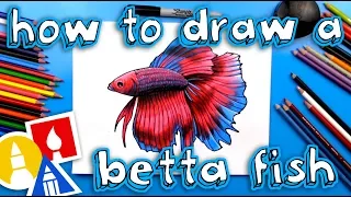 How To Draw A Realistic Betta Fish (Siamese Fighting Fish)