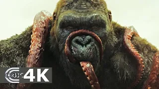 KONG vs GIANT SQUID   Fight Scene   Kong  Skull Island 2017 Movie Clip HD   YouTube