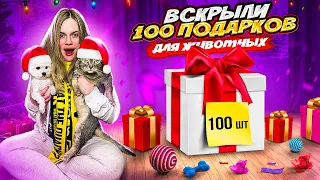 ВСКРЫЛИ 100 ПОДАРКОВ ДЛЯ ЖИВОТНЫХ НА НОВЫЙ ГОД