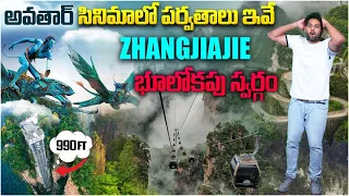 Avatar Movie Mountans in China | Zhangjiajie National Forest | Avatar Floating Mountain | China Vlog